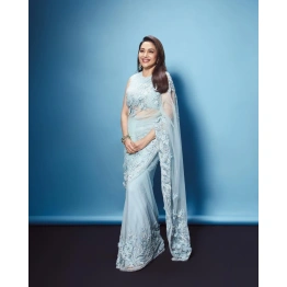 Sky Blue Butterfly Mono Net Party Wear Saree