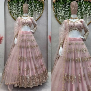 Baby Pink Color Butterfly Net Sequence Lehenga Choli