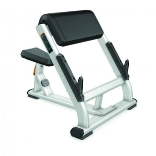 Preacher Curl Bench