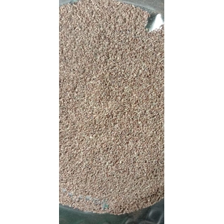 Juani (Ajwain) - 1 Kg