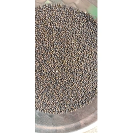 Muga Dal (Green Gram) - 1 Kg