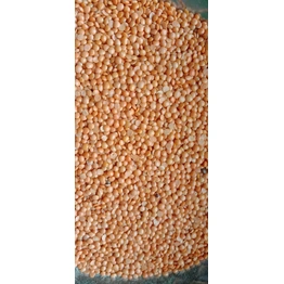 Masuri Dal - 1 Kg