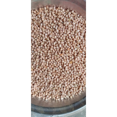 Tiasi Dal / Kabuli Chana (Chickpeas) - 1 Kg