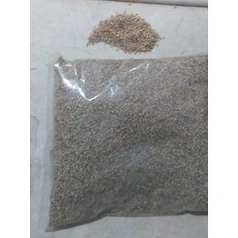 Til Seeds (White) (1000gm)