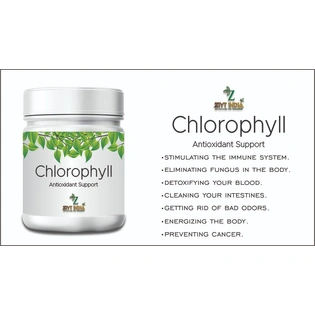 Ziyt India Chlorophyll