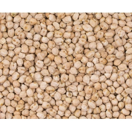 Chickpeas (Chana)