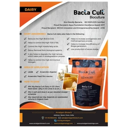 Bacta Cult- Dairy