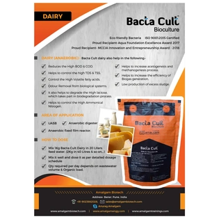 Bacta Cult- Dairy