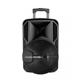 Astrum TM121/Black/Trolley Speaker