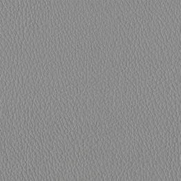 Lt. Grey Pvc Synthetic Leather Fabric