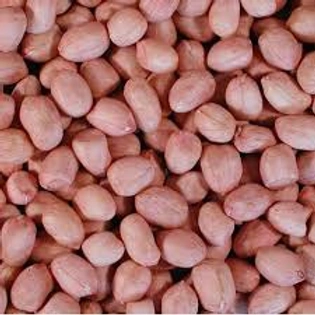 Groundnut ( shing )