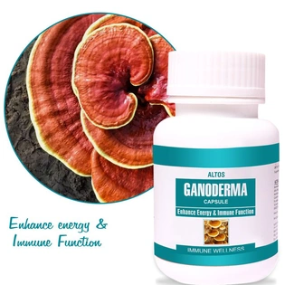 Ganoderma Capsule