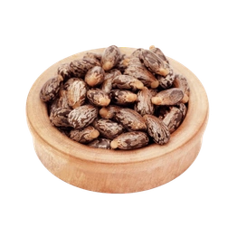 Castor Seeds