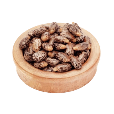 Castor Seeds