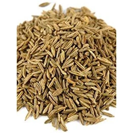 Fresh Cumin Seeds