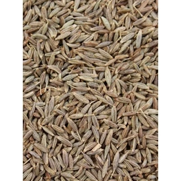 Cumin Seeds