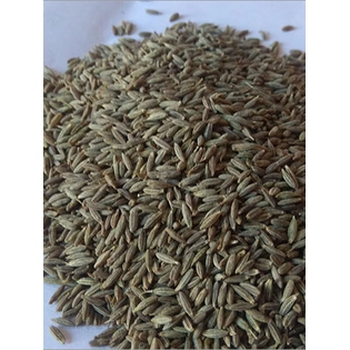 Edible Cumin Seeds