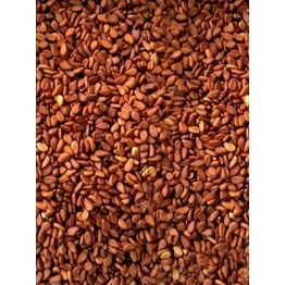 Brown Sesame Seeds