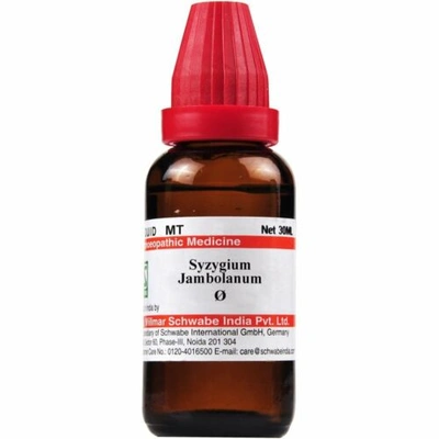 Dr Willmar Schwabe Homeopathic Syzygium Jambolanum Mother Tincture (Q) 30ml