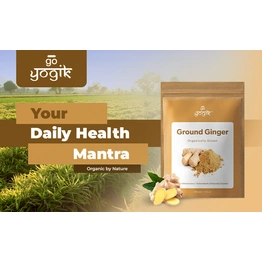 Go-Yogik Ginger powder -100g | Grown Organically in Himalayas