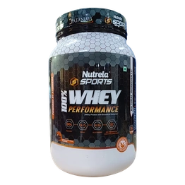 Patanjali Nutrela Sports Whey Performance (Choc-irish)