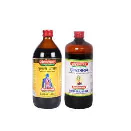 Baidyanath Bhringraj Asav 450ml With Kumari Asav450ml