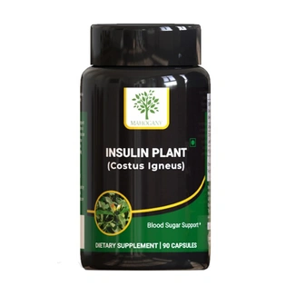 Insulin Plant (Costus Igneus) Capsules 400 mg- 90 Capsules