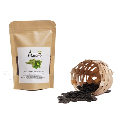 Abono Ridge Gourd Organic Vegetable Seeds