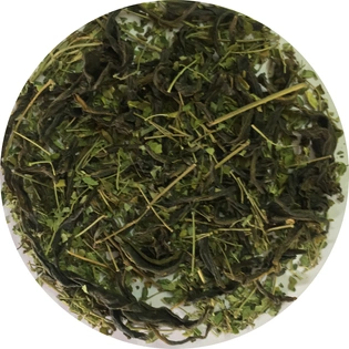 Moringa Green Tea