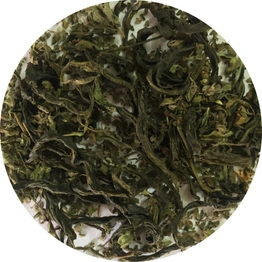 Tulsi Green Tea