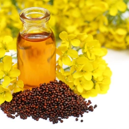 Mustard Oil (Organic Wood Pressed Unrefined) - FSSAI