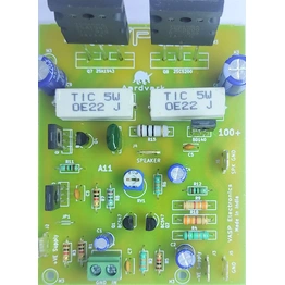 100 Watts 2SC5200 2SA1943 Transistor Mono Amplifier Best For Home Audio - Assembled Board