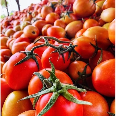 Tomatoes, papaya, watermelon, potatoes, Pomegranates and etc.