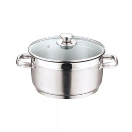 Vinod Stainless Steel Two Tone Saucepot With Glass Lid - 22 Cm, 4 L (Induction Friendly)