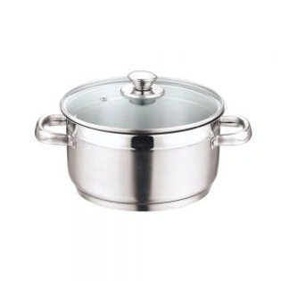 Vinod Stainless Steel Two Tone Saucepot With Glass Lid - 22 Cm, 4 L (Induction Friendly)