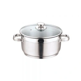 Vinod Stainless Steel Two Tone Saucepot With Glass Lid - 20 Cm, 3 L (Induction Friendly)