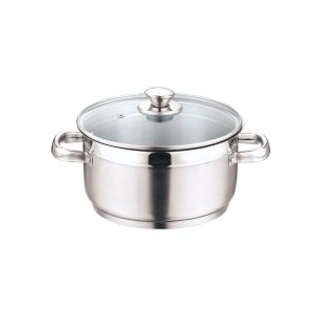 Vinod Stainless Steel Two Tone Saucepot With Glass Lid - 20 Cm, 3 L (Induction Friendly)