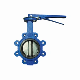 High Performing Cast Iron Lug Type Butterfly Valve 40mm Manufacturer For tight shut off and flow control