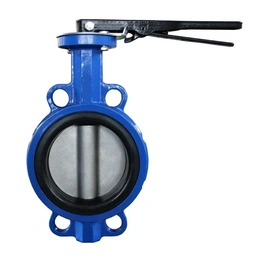 High Quality Cast Iron Buttery Valve EPDM Molding Wafer Type (PN10) 15 mm Manufacturer in India