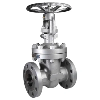 Gate Valve