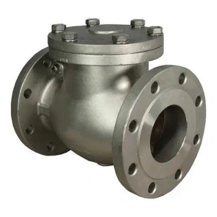 Check Valve