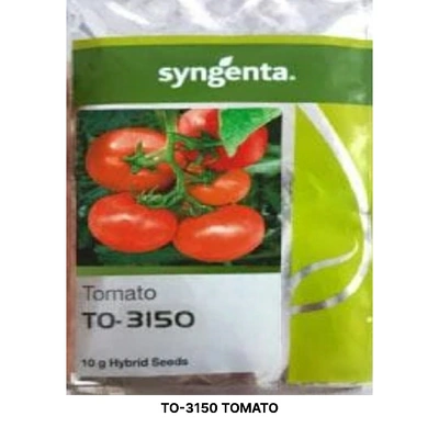 TO-3150 TOMATO SEEDS