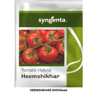 HEEMSHIKHAR TOMATO SEEDS