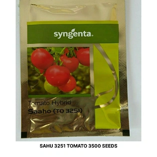 SAAHO TOMATO seeds