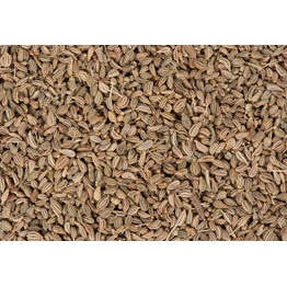 Ajwain Seeds