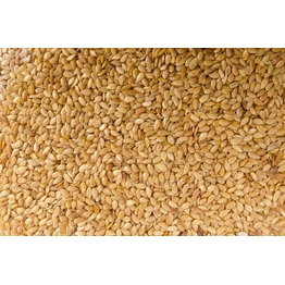 Natural Sesame Seeds