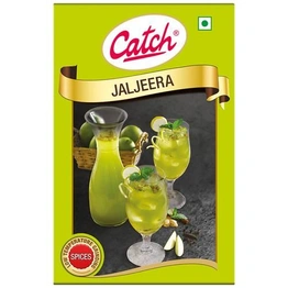 Catch Jaljeera Powder 100 GM