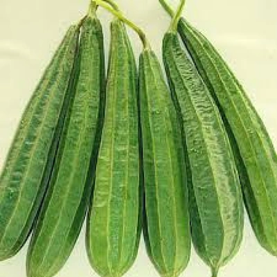 Ridge Gourd