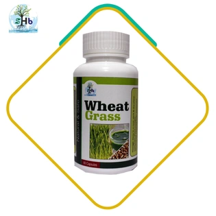 Wheatgrass Capsule