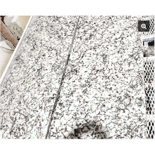 Nova White Granite